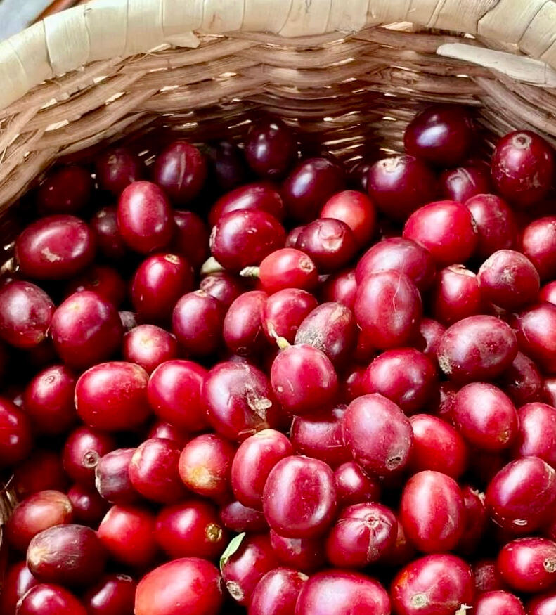 Selective Cherry Picking