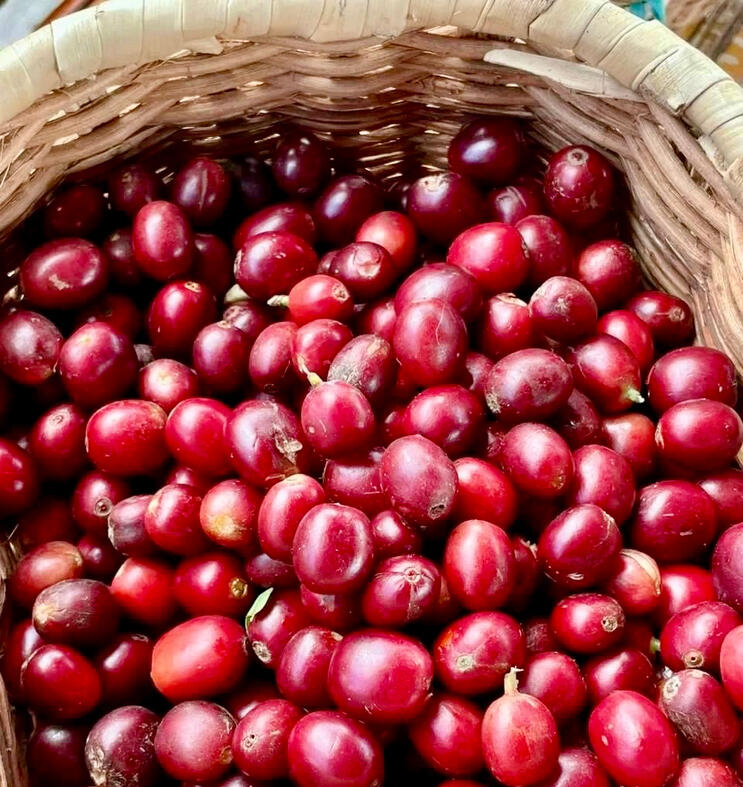 Selective Cherry Picking